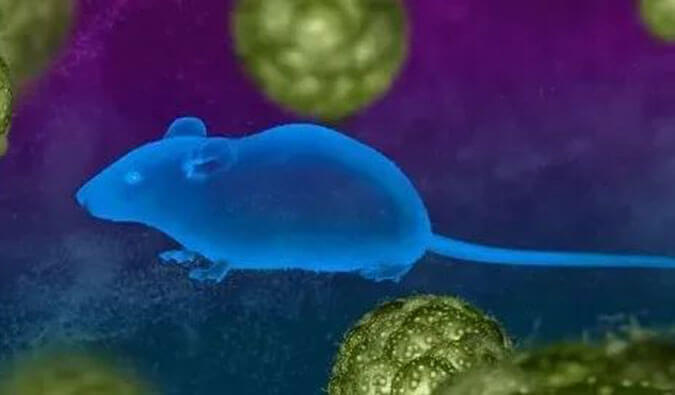 人生就是博官方网站药效服务赋能First-in-Class泛素化抑制剂研发