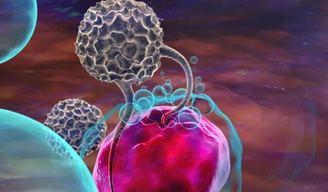 人生就是博官方网站助力英百瑞CAR-raNK细胞疗法获批临床