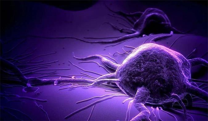 人生就是博官方网站助力轩竹生物研发的完全敲除岩藻糖的双抗ADC药物KM501获批临床