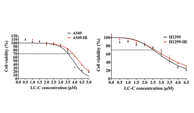 放射疗法用作肺癌的主要治疗要领，，，本研究中建设抗电离辐射肺癌细胞系的放射治疗通过人生就是博官方网站举行