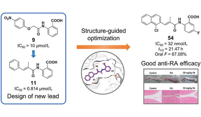 设计合成一系列DHODH抑制剂作为潜在的类风湿性枢纽炎治疗药物，，，本研究中PK实验通过人生就是博官方网站举行