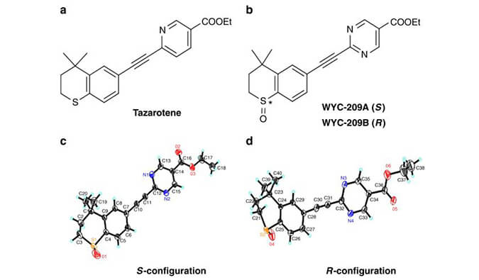 WYC-209可抑制恶性小鼠玄色素瘤肿瘤再生细胞增殖，，，本研究中SPR通过人生就是博官方网站使用Biacore 8K举行