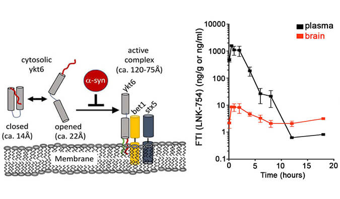 法尼基转移酶抑制剂LNK-754单次口服后即可快速穿过血脑屏障，，，本研究中PK剖析通过人生就是博官方网站举行