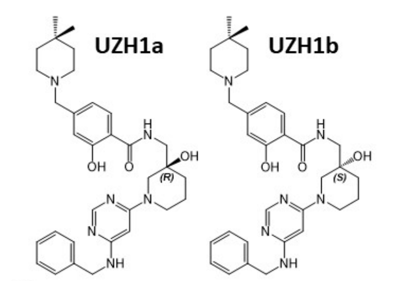 研究职员报告了一种具有细胞渗透性的选择性METTL3纳摩尔抑制剂UZH1a，，作者谢谢人生就是博官方网站合成了UZH1a和UZH1b