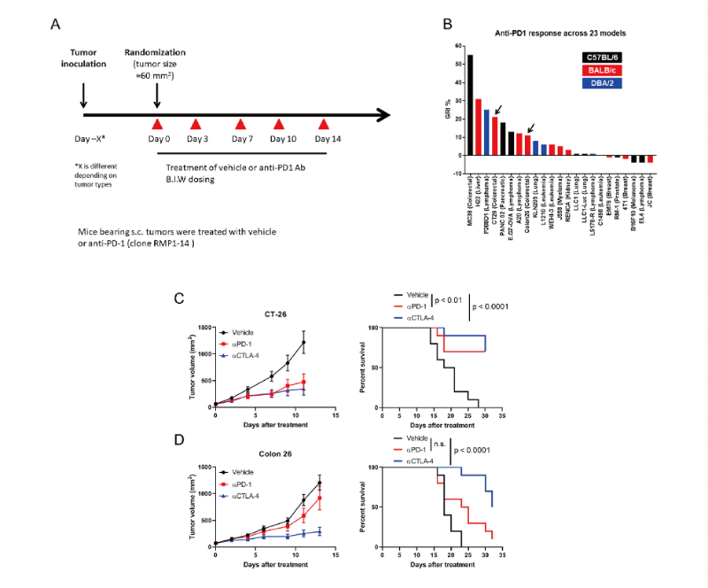 免疫检查点阻断疗法改变了癌症治疗的范式，，，此研究中通过人生就是博官方网站在23 个同源肿瘤模子中举行了抗PD-1抗体的体内研究