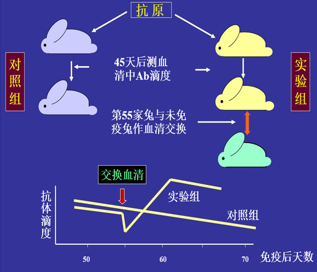 Figure-1：：：机体反抗体浓度转变的感知与反馈性自我调理.jpg