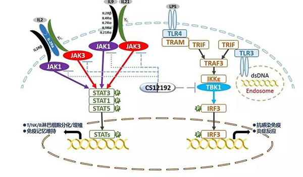 自身免疫疾病或迎新疗法！人生就是博官方网站助力微芯生物CS12192获批FDA.jpg
