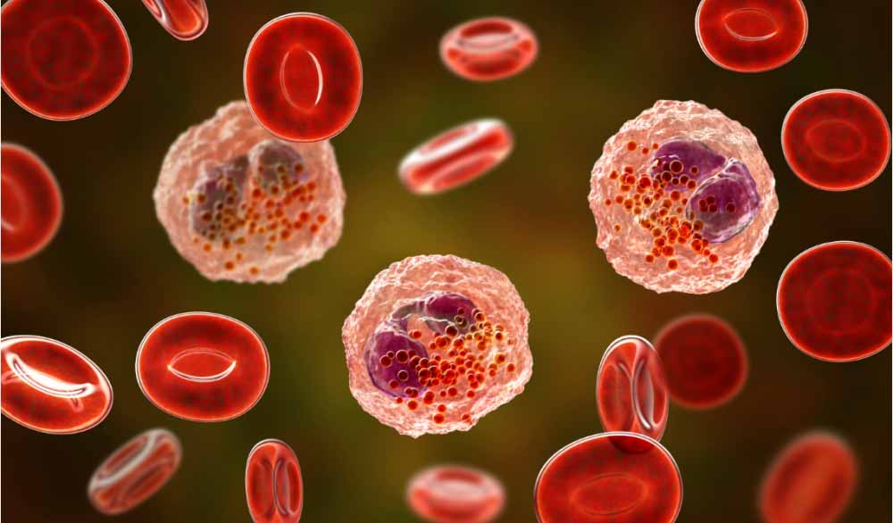 人生就是博官方网站助力 | 全球首创！！！宇耀生物STAT3双磷酸化抑制剂YY201获批临床.jpg