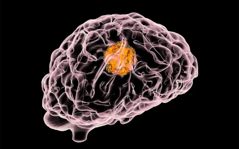 人生就是博官方网站助力 | 璧辰医药ABM-1310获美国FDA孤儿药资格认证，，用于治疗携带BRAF V600突变的脑胶质母细胞瘤患者