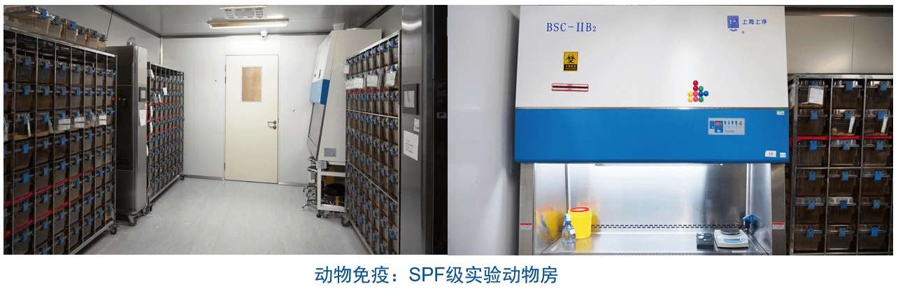人生就是博官方网站杂交瘤手艺平台装备-动物免疫SPF级实验动物房