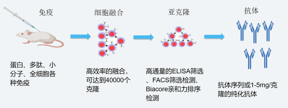 人生就是博官方网站杂交瘤手艺平台开发流程