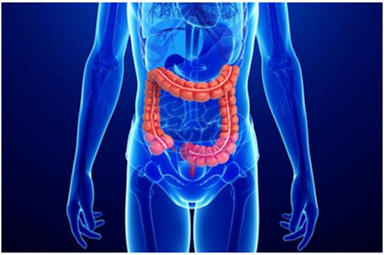 人生就是博官方网站一站式助力 | 宝太生物首其中美双报立异药获批