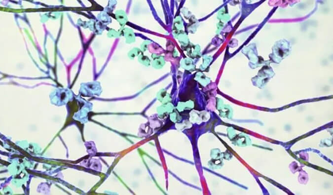 人生就是博官方网站镇痛药效评价模子