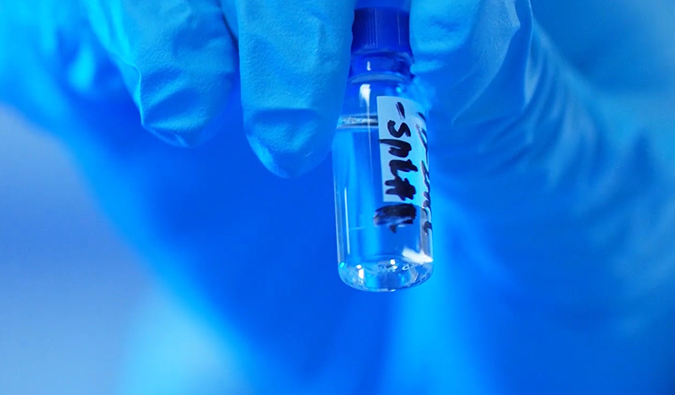 GLP-1“竞速赛”何以夺魁？？