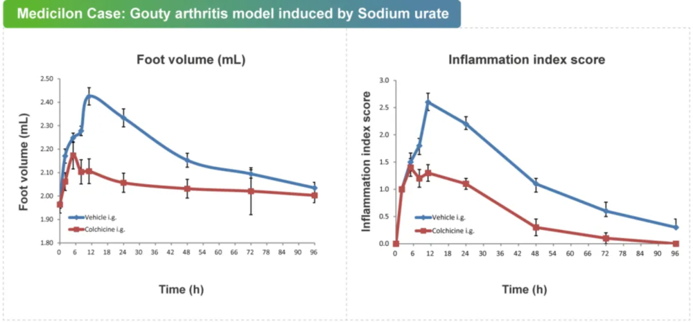 03 尿酸钠诱导的痛风性枢纽炎模子.jpg