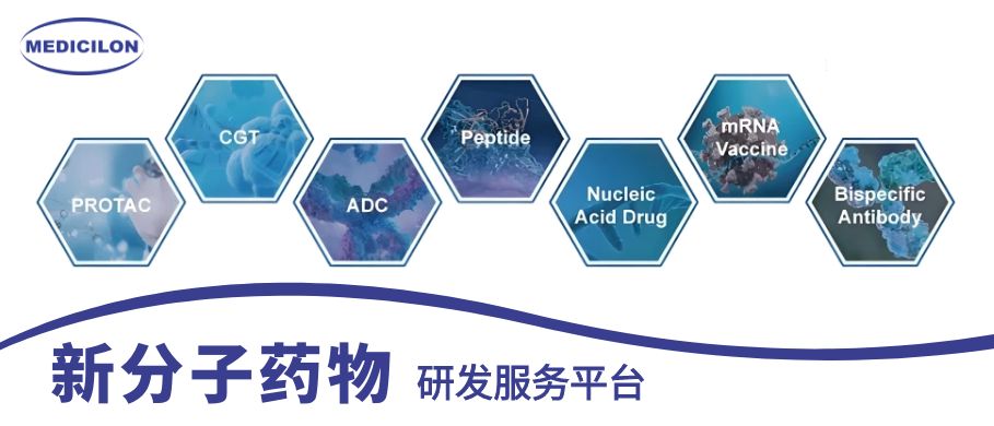 人生就是博官方网站新分子药物研发服务平台