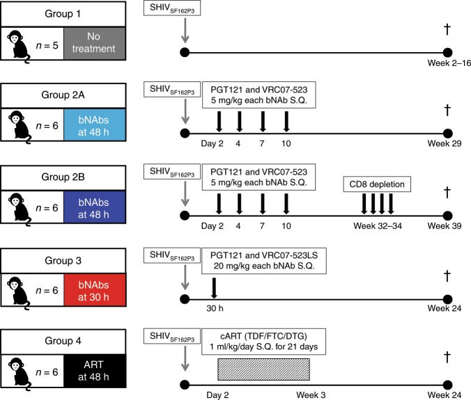 抗逆转录病毒疗法(ART)预防围产期HIV熏染，，，本研究中多替拉韦钠盐和游离态均由人生就是博官方网站提供