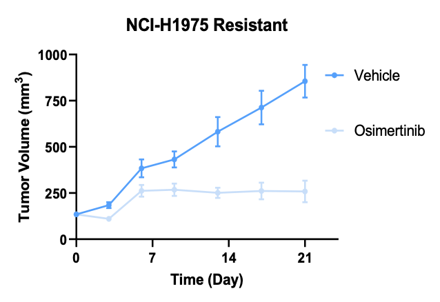 NCI-H1975奥希替尼耐药NSCLC模子-体内药效筛选-2.png